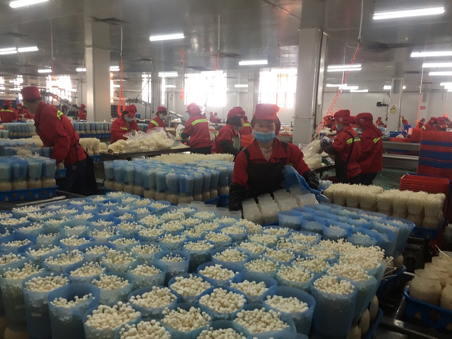 /gb2312/xianqugonghui/11440.html